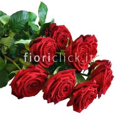 Rose rosse da comporre in mazzo con l'indicazione del numero di steli, confezionato con cura.