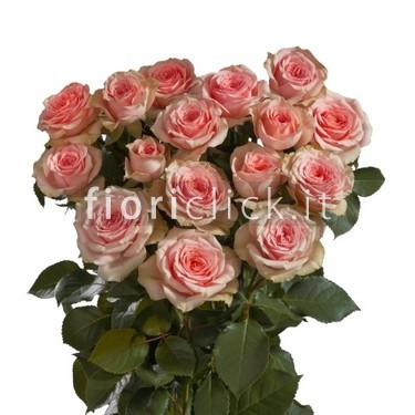 Bouquet di rose colore rosa