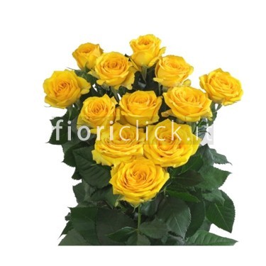 Bouquet rose gialle